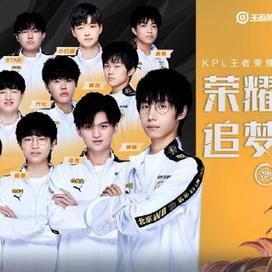 其职业生涯 其职业生涯