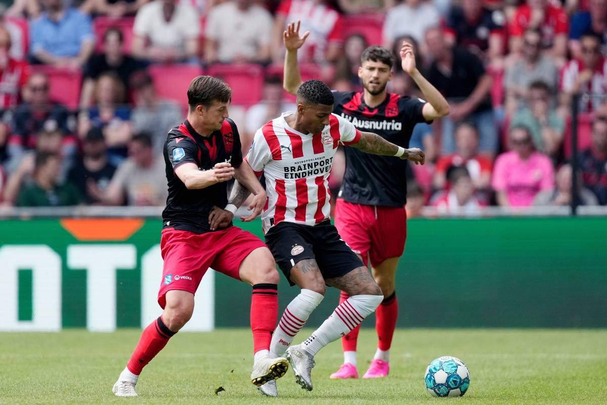 外援即插即 外援即插即