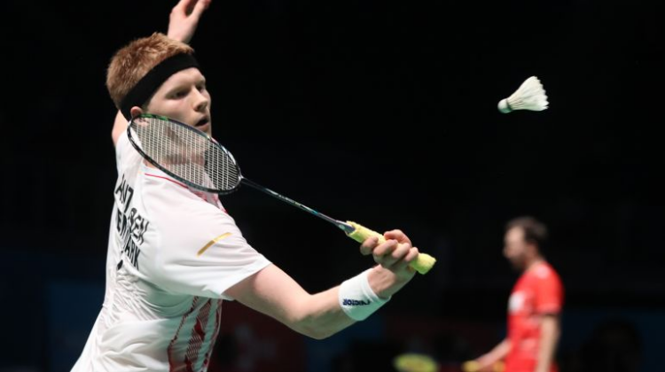 IP生命力 IP生命力